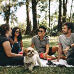 Grupo de amigos sentados sobre gramado fazendo um piquenique à frente de árvores altas.