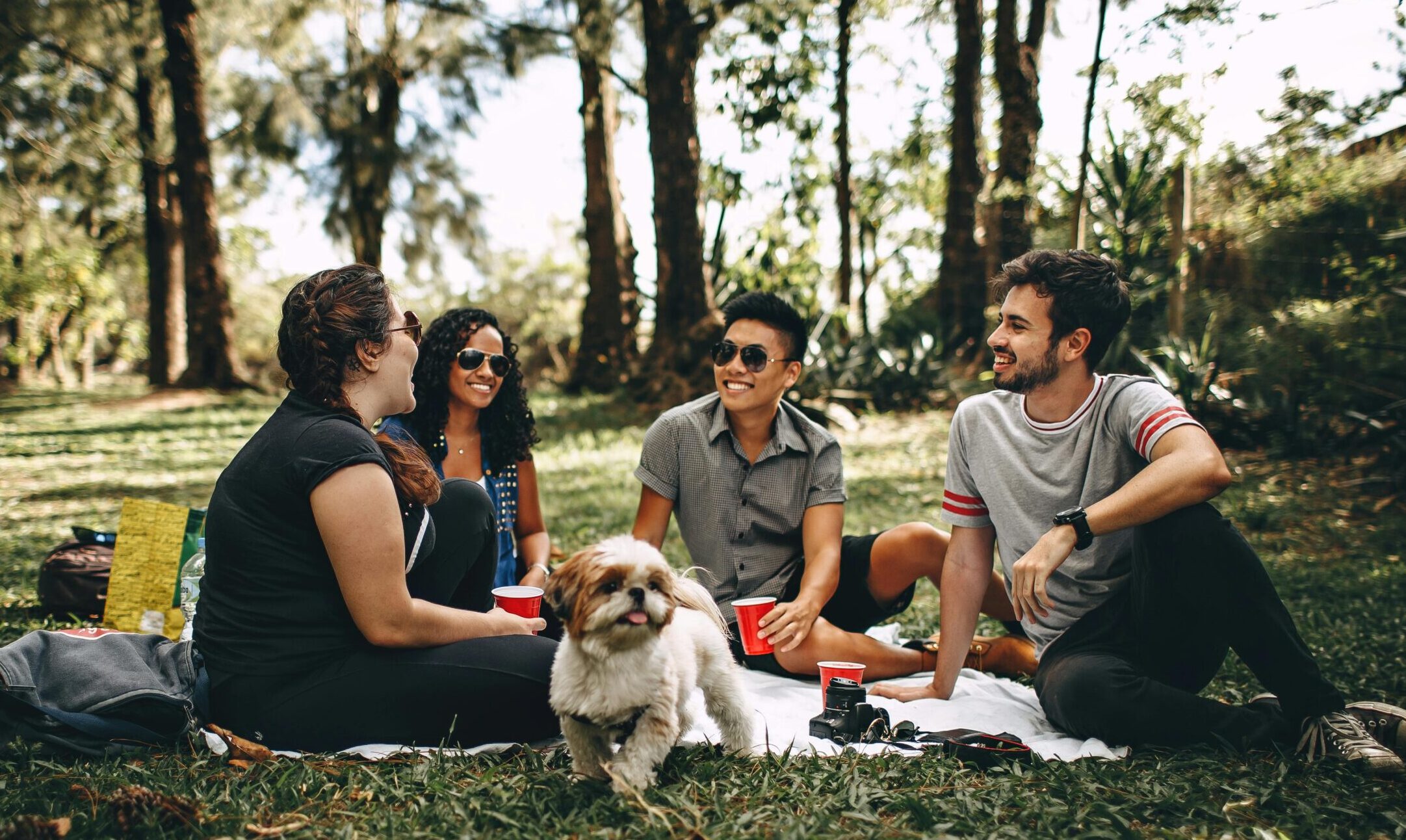 Grupo de amigos sentados sobre gramado fazendo um piquenique à frente de árvores altas.